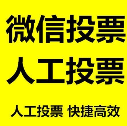 佛山市网上投票全攻略：操作指南与票数注意事项